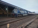 RUMO 776